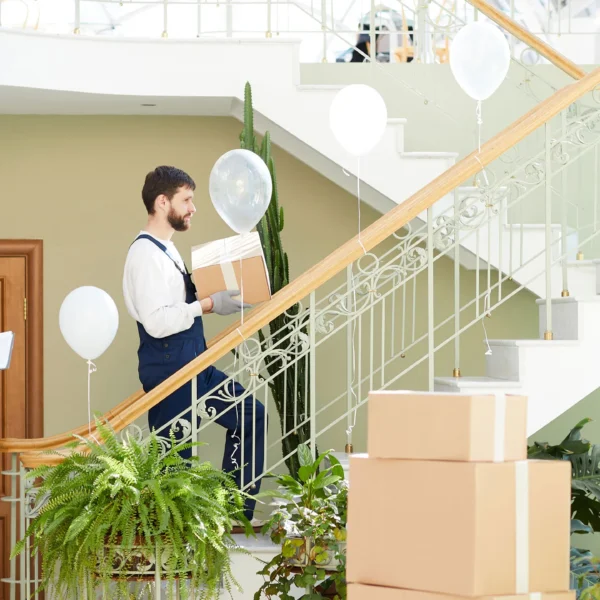 best moving company in UAE