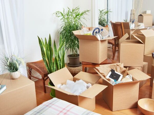 best home furniture movers and packers in UAE